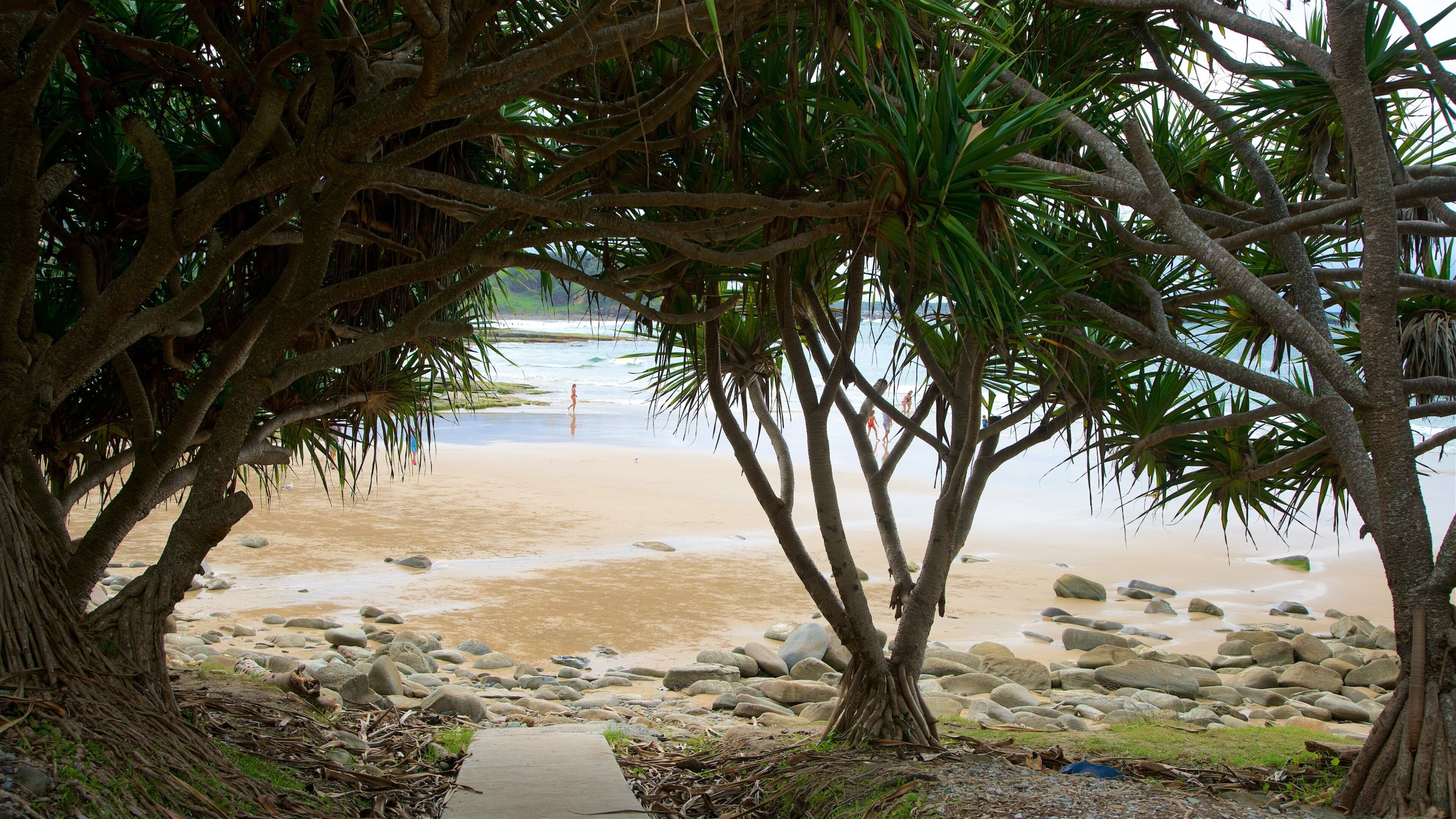 South Head Park mostrando uma praia