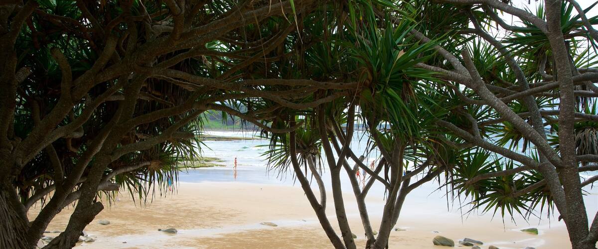 ์ฌ์ฐ์ค ํค๋ ๊ณต์ ์ ํน์ง ๋ชจ๋ ํด๋ณ