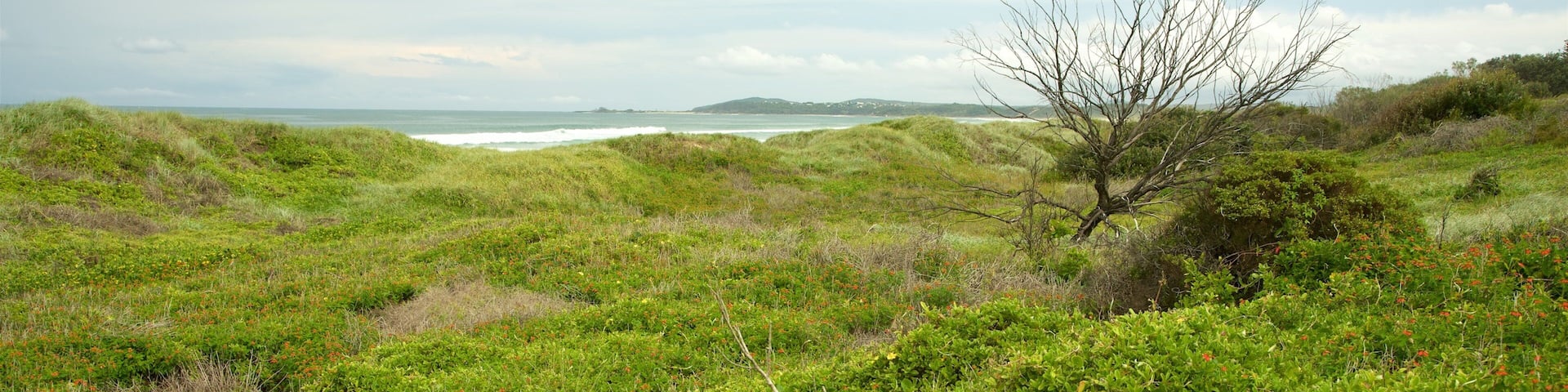 South Head Park which includes a garden