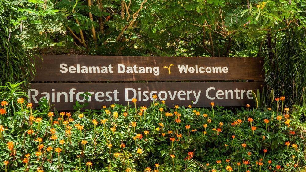 A wooden sign with 'Selamat Datang Welcome' and 'Rainforest Discovery Centre' written on it, surrounded by greenery and orange flowers.