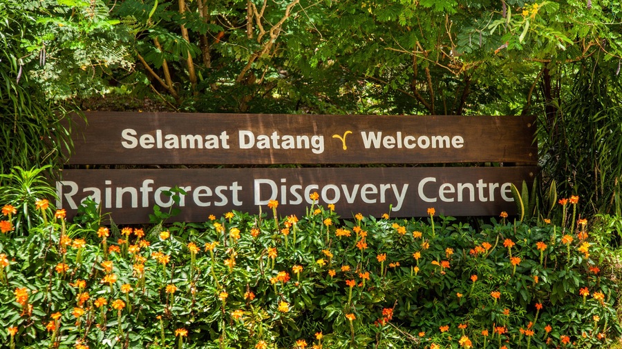 A wooden sign with 'Selamat Datang Welcome' and 'Rainforest Discovery Centre' written on it, surrounded by greenery and orange flowers.