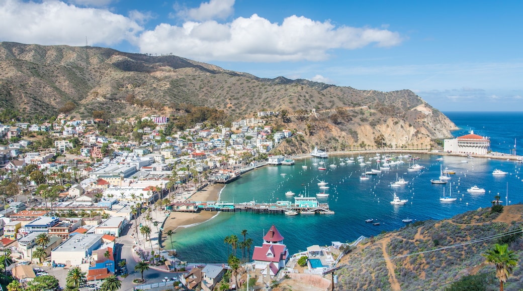 Avalon Overlook, Catalina Island, California