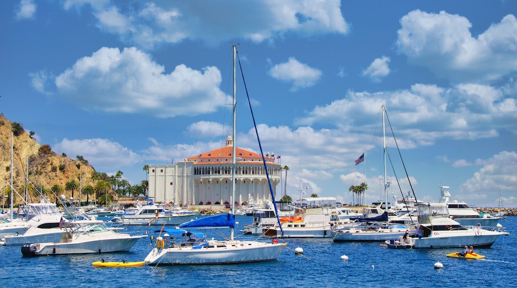 Catalina Island Museum Harbour With Boats