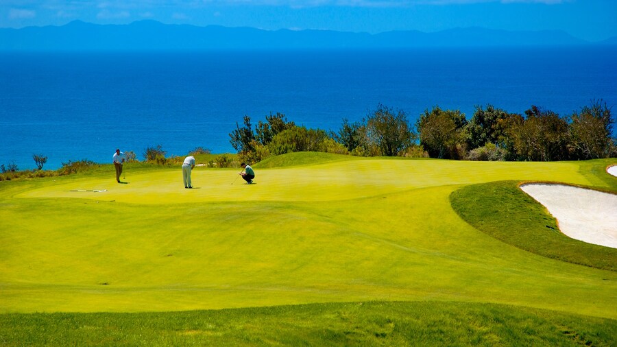 Campo de golf Isla Catalina