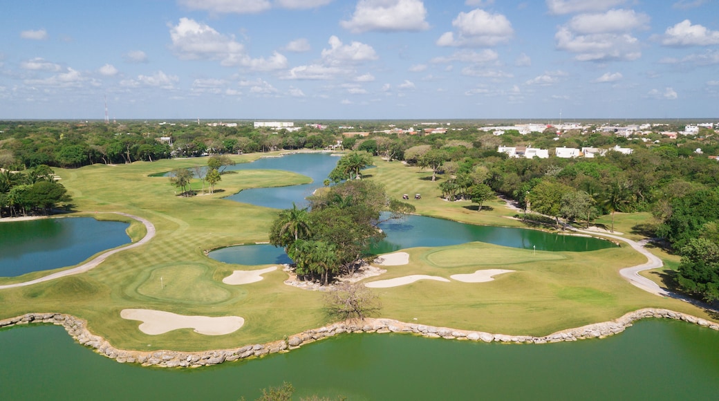 Golf course with gorgeous green and pond. Aerial view of a beautiful green golf course