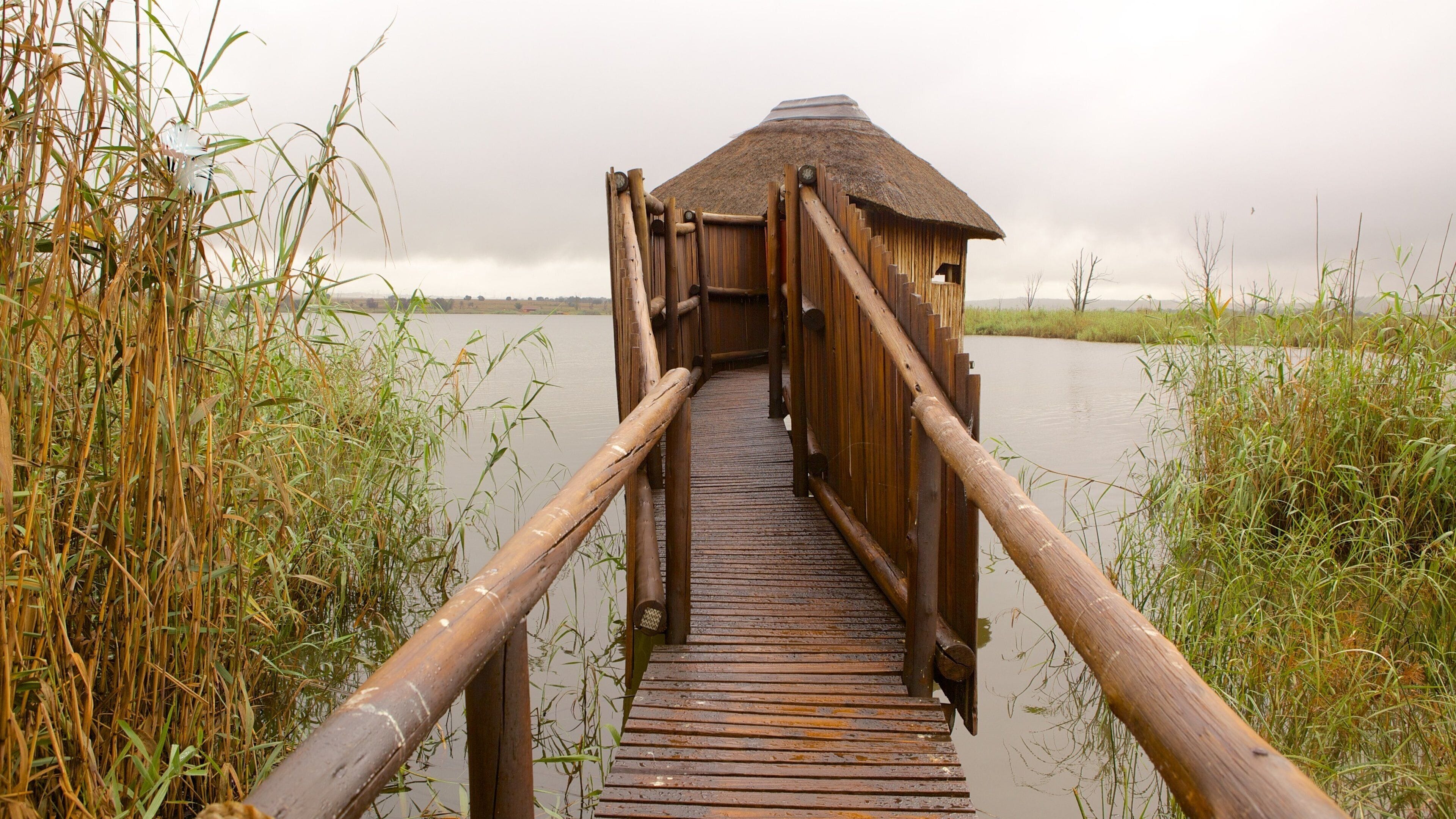 Rietvlei Nature Reserve which includes landscape views and a lake or waterhole