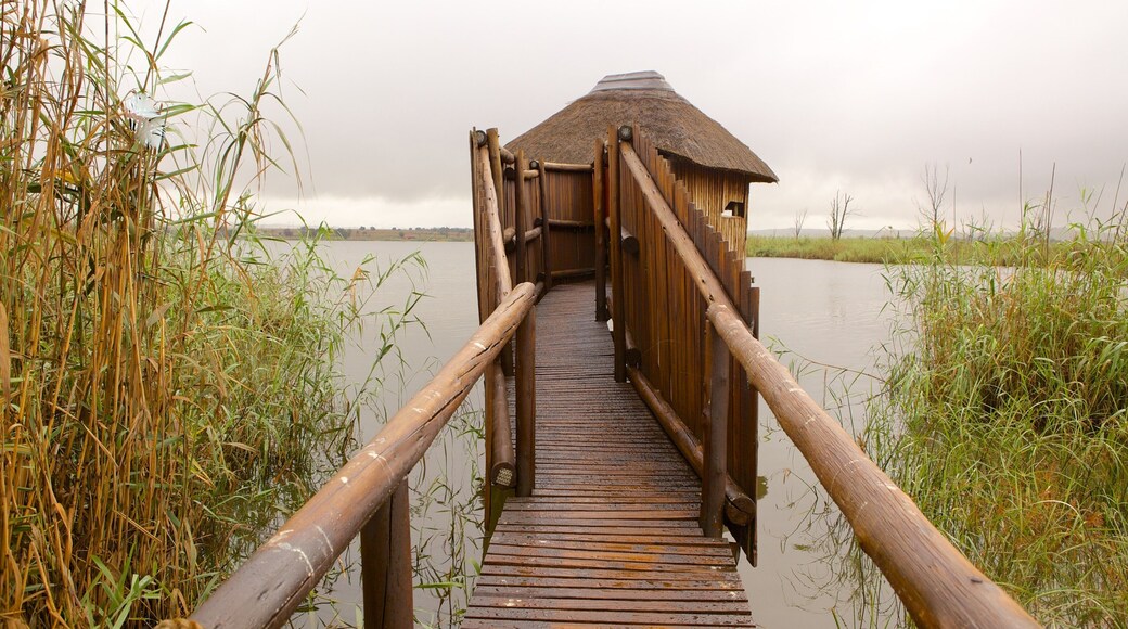 Rietvlei Nature Reserve which includes landscape views and a lake or waterhole