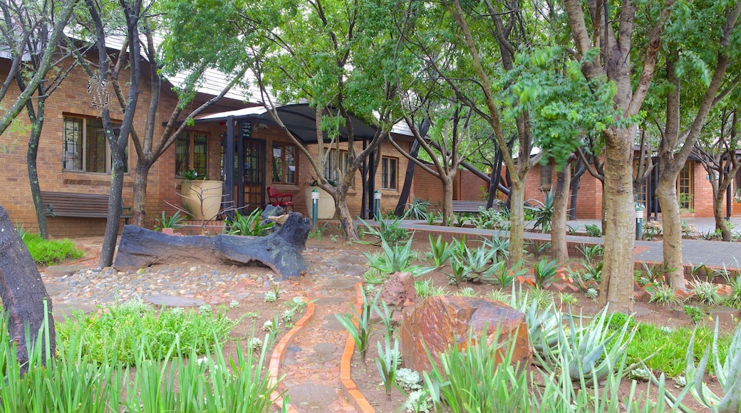 Rietvlei Nature Reserve joka esittää puutarha