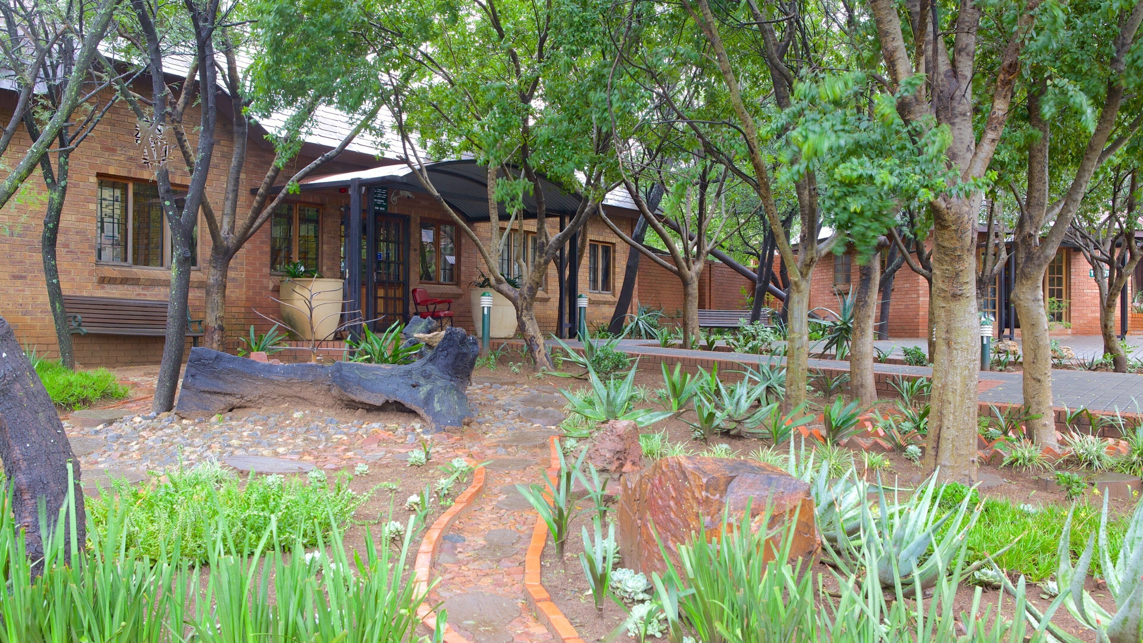 A garden with a large rock, a bench, and a building with a brick facade.