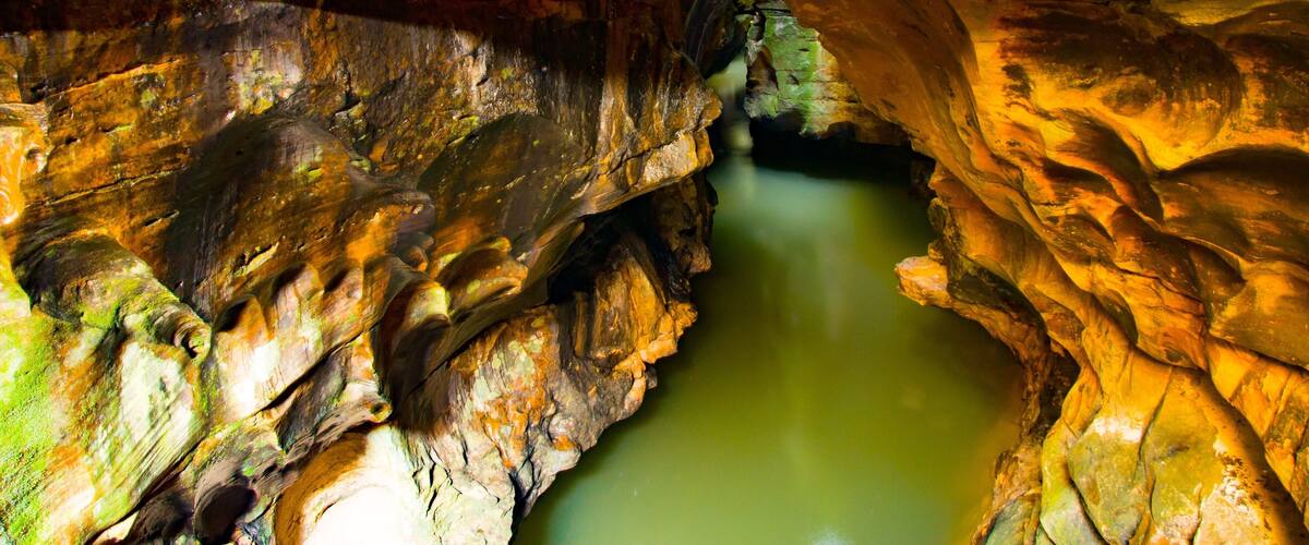 A cave with a green pool and rugged, textured rock formations.