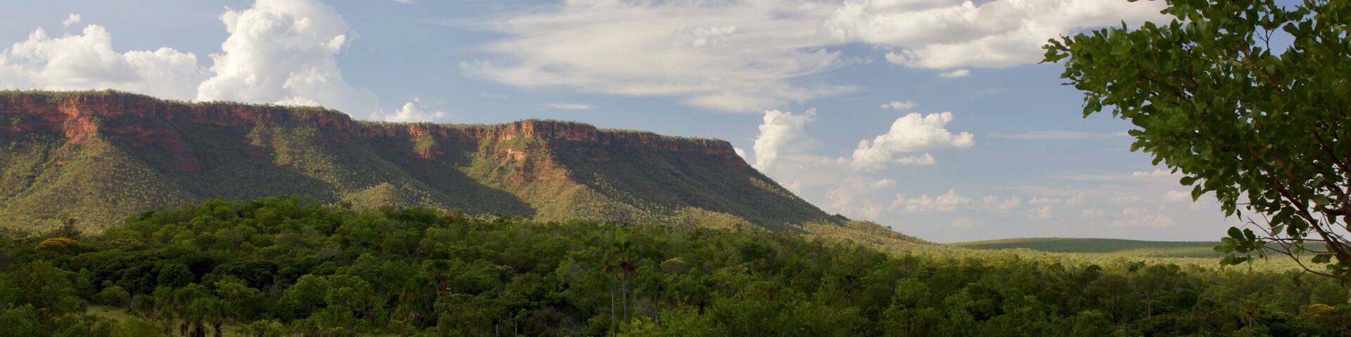 Serra das Mangabeiras no Parque Nacional das Nascentes - Barreiras do Piauí - Piauí - Brasil 11/2017
