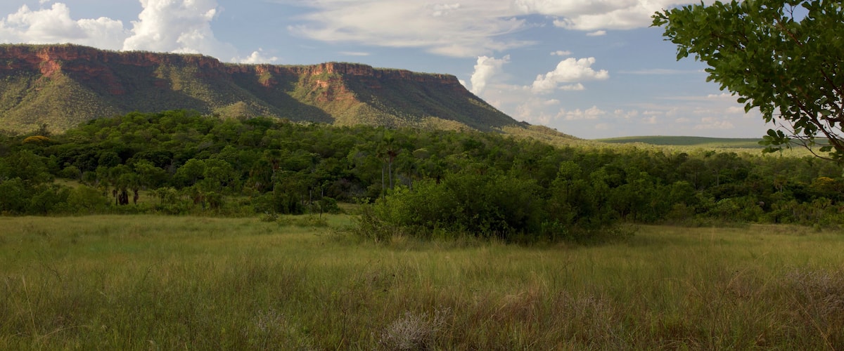 Serra das Mangabeiras no Parque Nacional das Nascentes - Barreiras do Piauí - Piauí - Brasil 11/2017