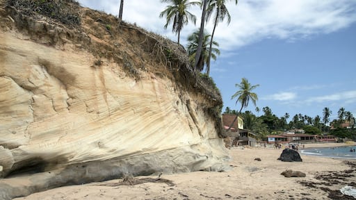 Cliffs on the beach Barreiras do Boqueirao - Coast north coast of the state corals. Image shot 01/2015. Exact date unknown.