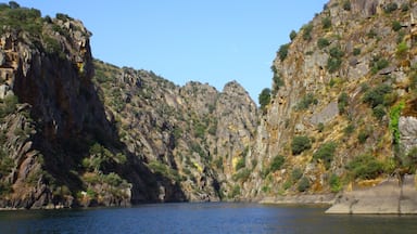 Pick a boat in a small town Bemposta for a 2,5hrs trip along Rio Douro (Douro River). The left side of the river is Portugal, the right one is Spain.
Besides the beautiful and sharp mountains edges, wild fauna can be seen.
Portugal