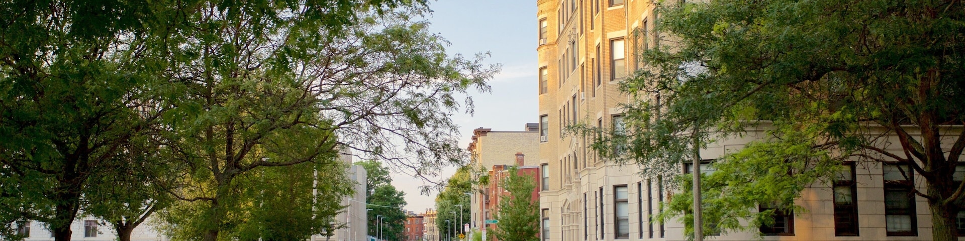 Kenmore Square welches beinhaltet Straßenszenen