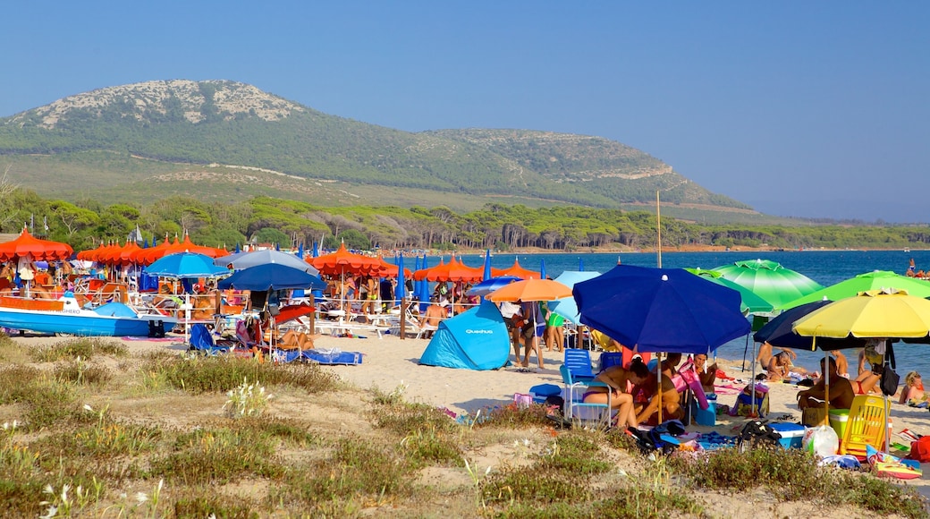 Mugoni-strand toont een strand