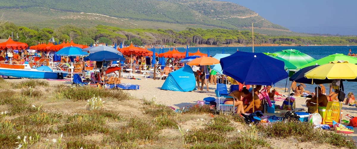Mugoni Beach featuring a beach
