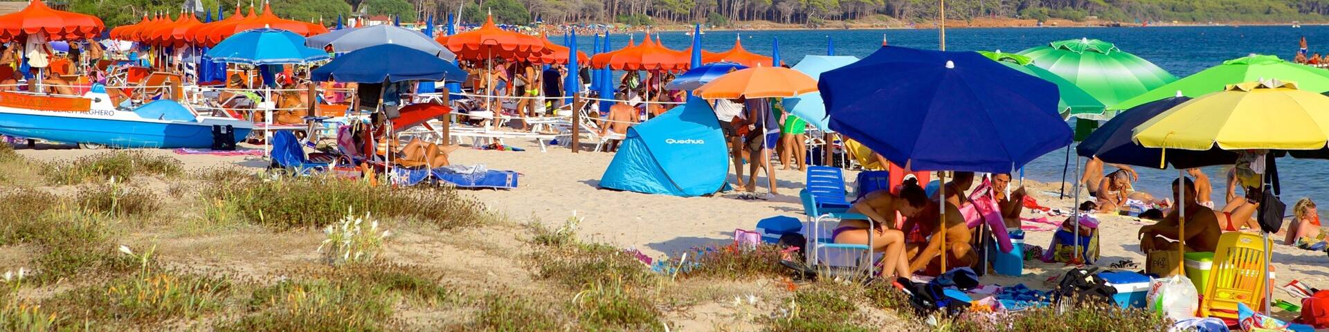 Mugoni Beach featuring a beach