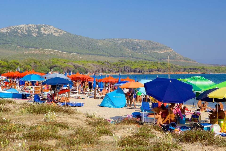 A beach with colorful umbrellas and tents, people relaxing, and a mountain in the background.