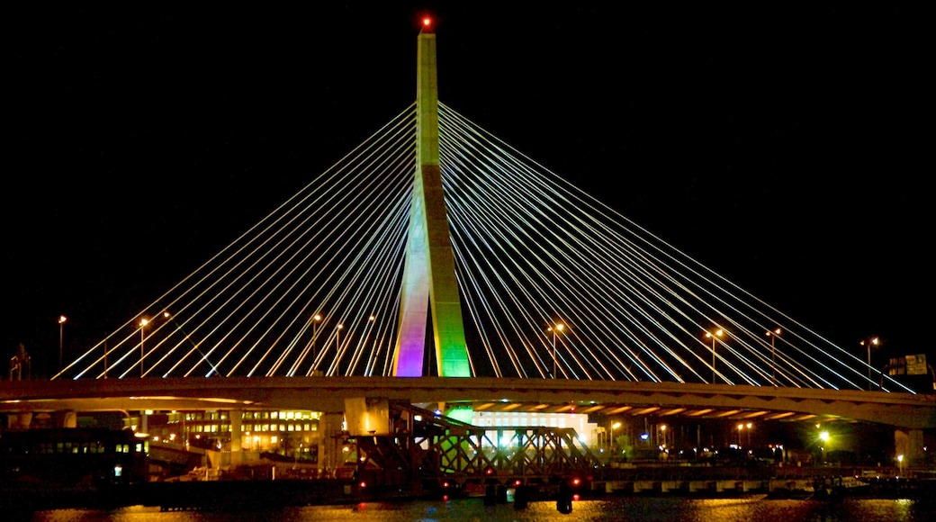 Zakim Bunker Hill Bridge showing night scenes, a suspension bridge or treetop walkway and a marina