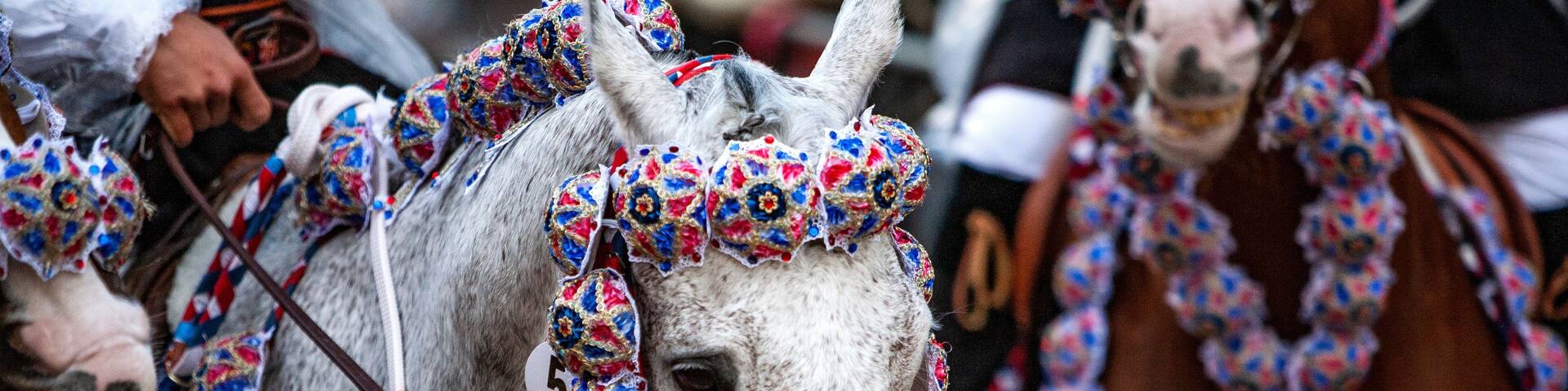 cavallo bianco con tutte le bardature in occasione di una festa tradizionale del paese