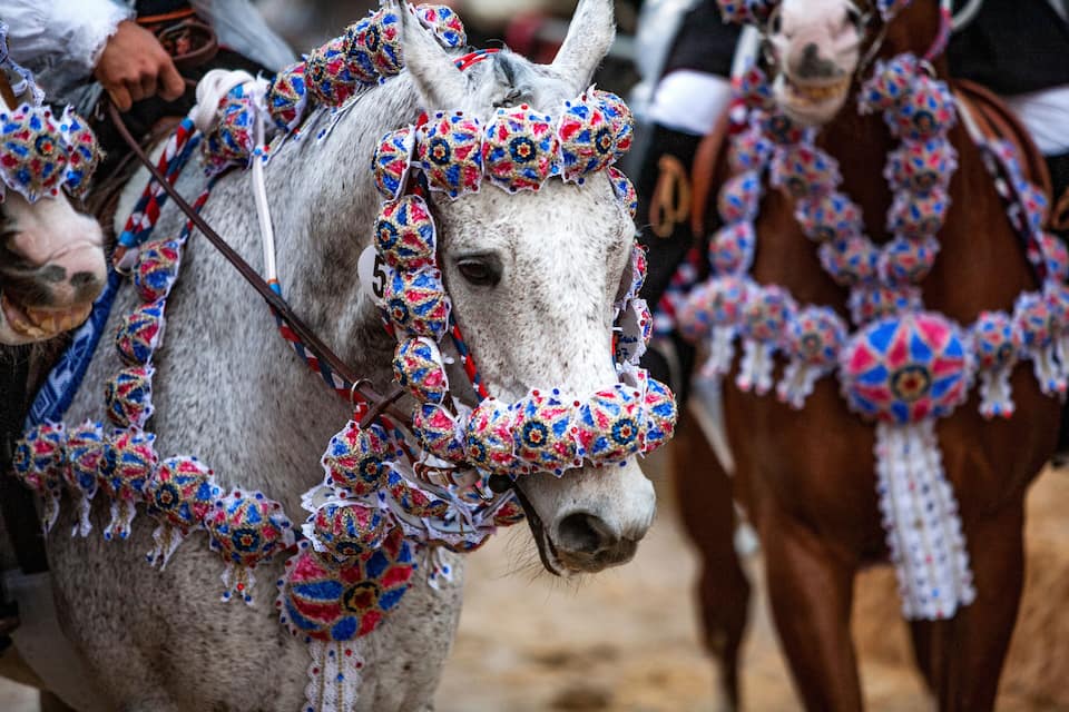Een paard versierd met kleurrijke, gedetailleerde patronen.