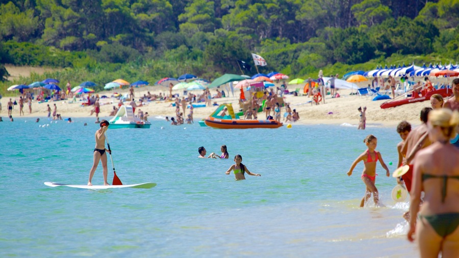 Cala Sinzias showing water sports, a beach and swimming