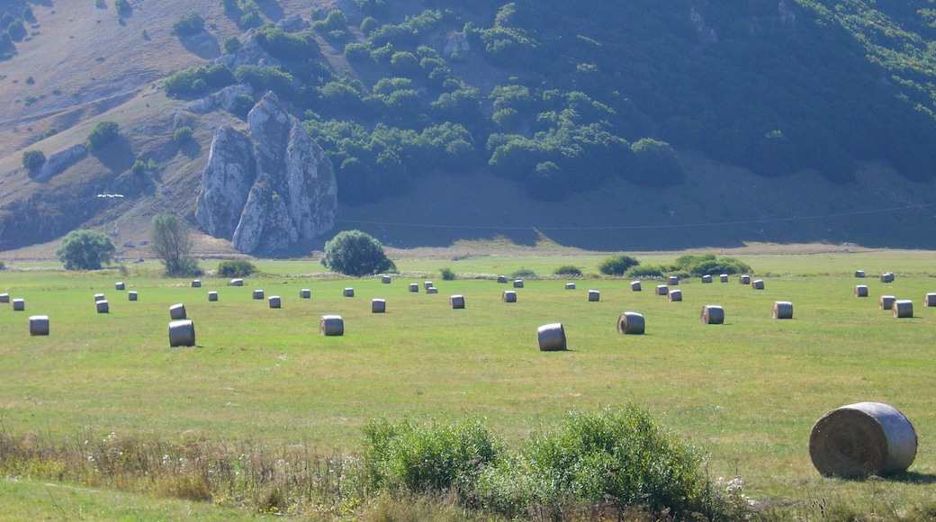 Rotoli di paglia sull'altopiano delle 5 miglia