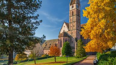Kloster Alpisbach im Herbst