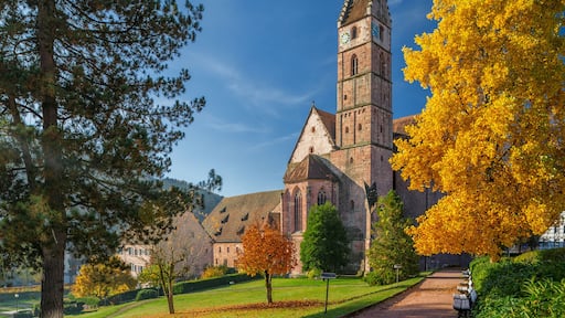 Kloster Alpisbach im Herbst