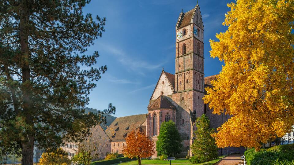 A historic church with a tall clock tower, surrounded by autumn-colored trees and a well-maintained pathway.