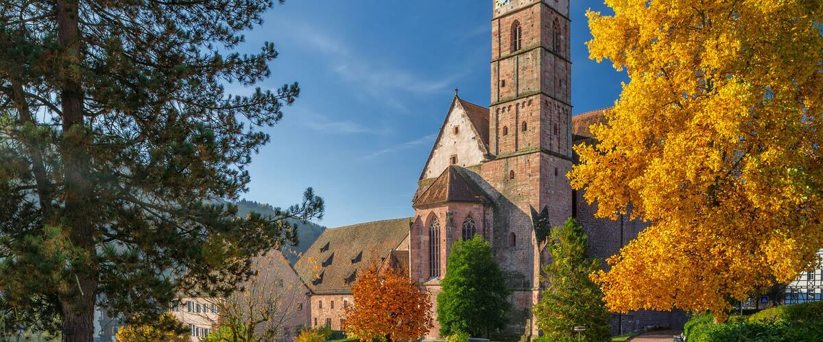 A historic church with a tall clock tower, surrounded by autumn-colored trees and a well-maintained pathway.
