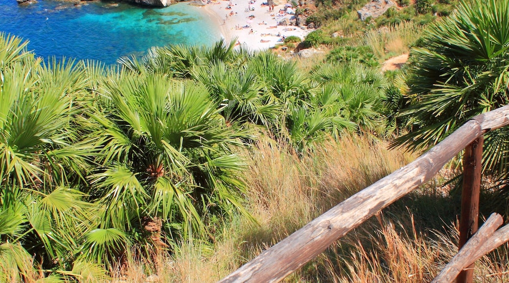 Zingaro naturreservat