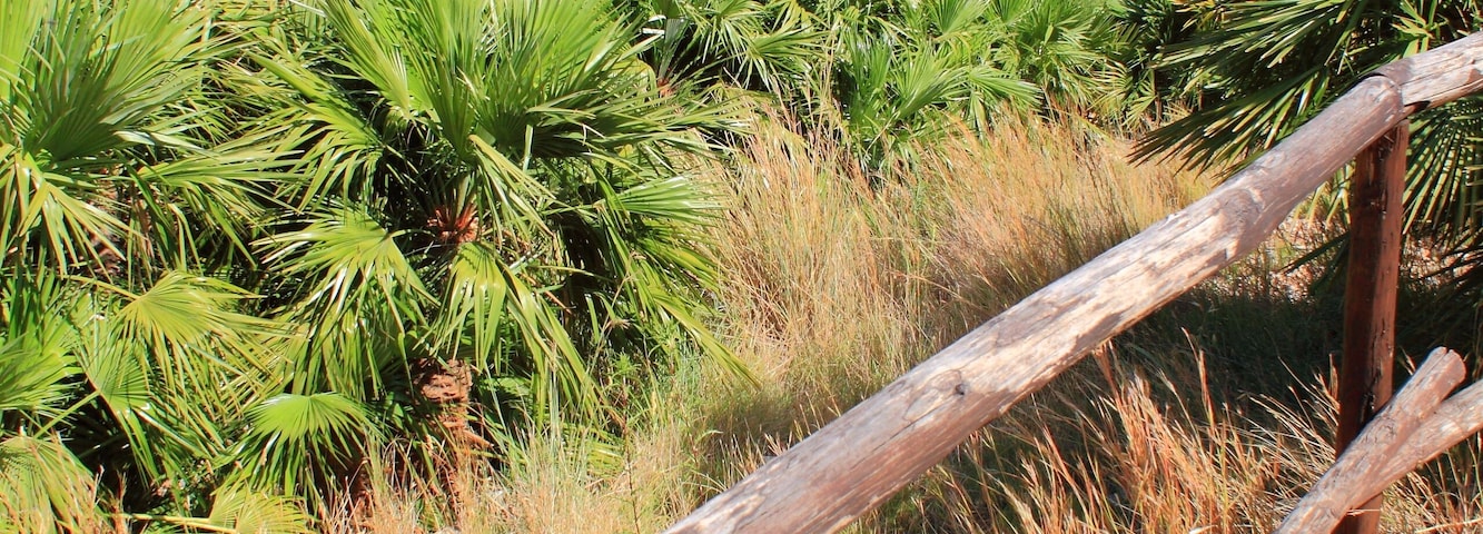 Riserva dello Zingaro - Sicily