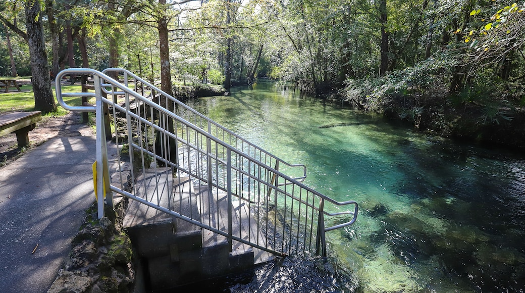 PONCE DE LEON, FLORIDA, UNITED STATES - Oct 18, 2018: Stairs to the Spring Run Trail at Ponce De Leon Springs State Park