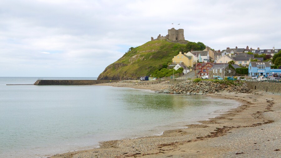 Criccieth Castle which includes a small town or village, a pebble beach and a bay or harbor