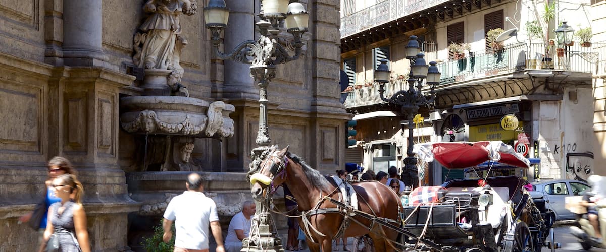 Via Maqueda mostrando imágenes de calles, animales terrestres y elementos patrimoniales