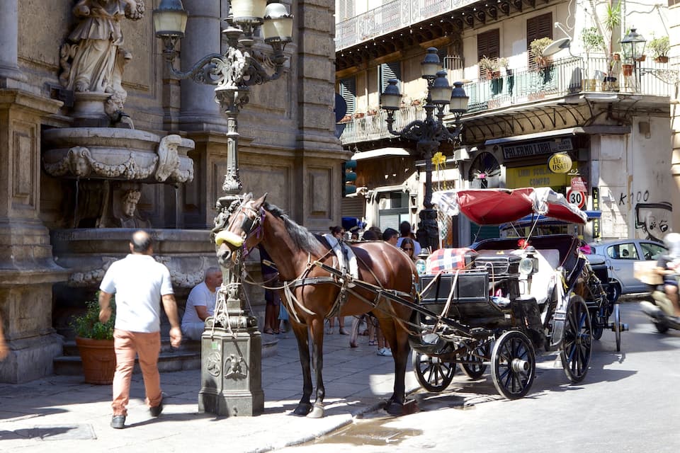 A horse-drawn carriage on a cobblestone street with ornate buildings and a fountain.