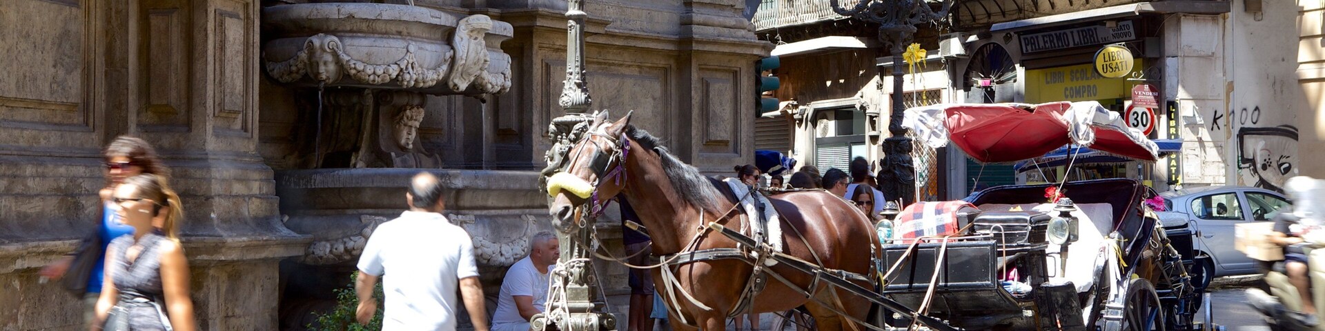 Via Maqueda showing heritage elements, street scenes and land animals