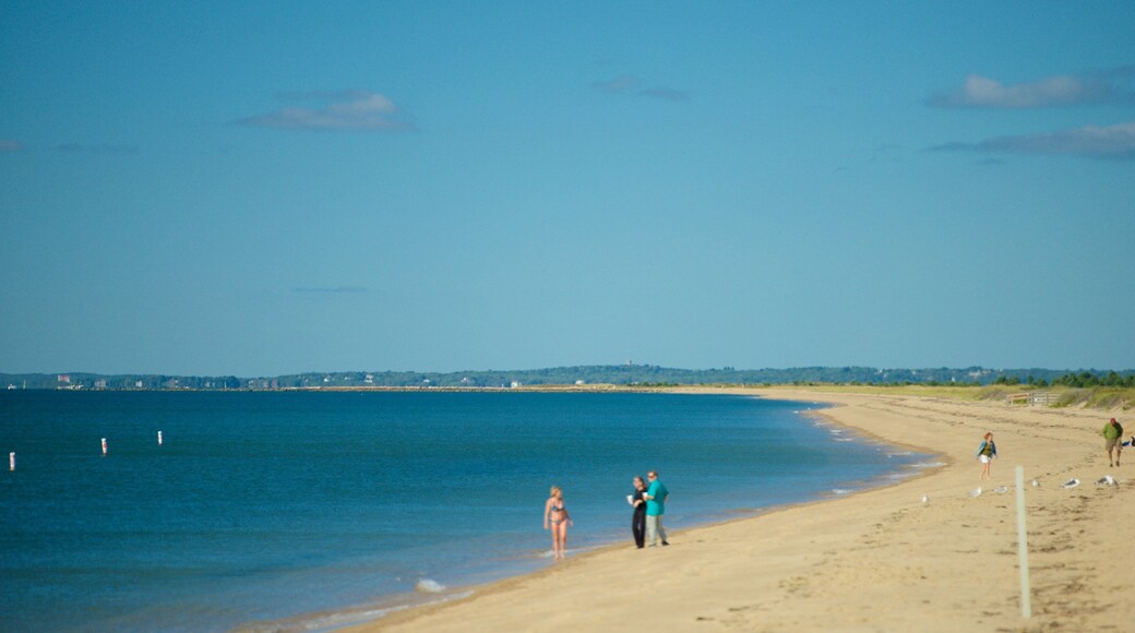 Parque estatal South Cape Beach mostrando una playa de arena y también una familia
