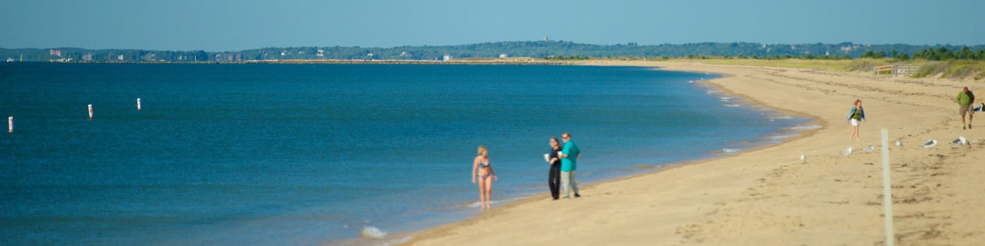 South Cape Beach State Park which includes a sandy beach as well as a family