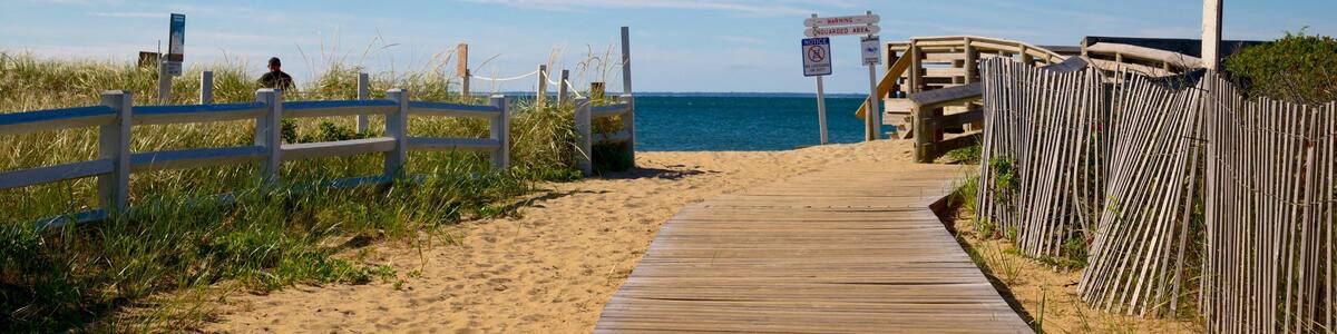 South Cape Beach State Park das einen Strand