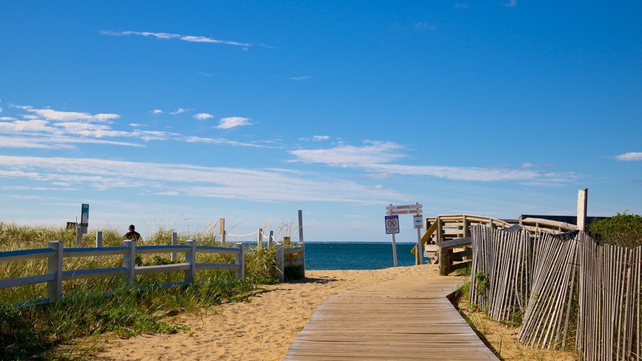 South Cape Beach State Park featuring a sandy beach