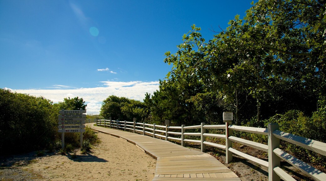 South Cape Beach State Park
