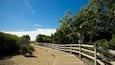 A wooden boardwalk leading to a beach, surrounded by trees and a clear blue sky.