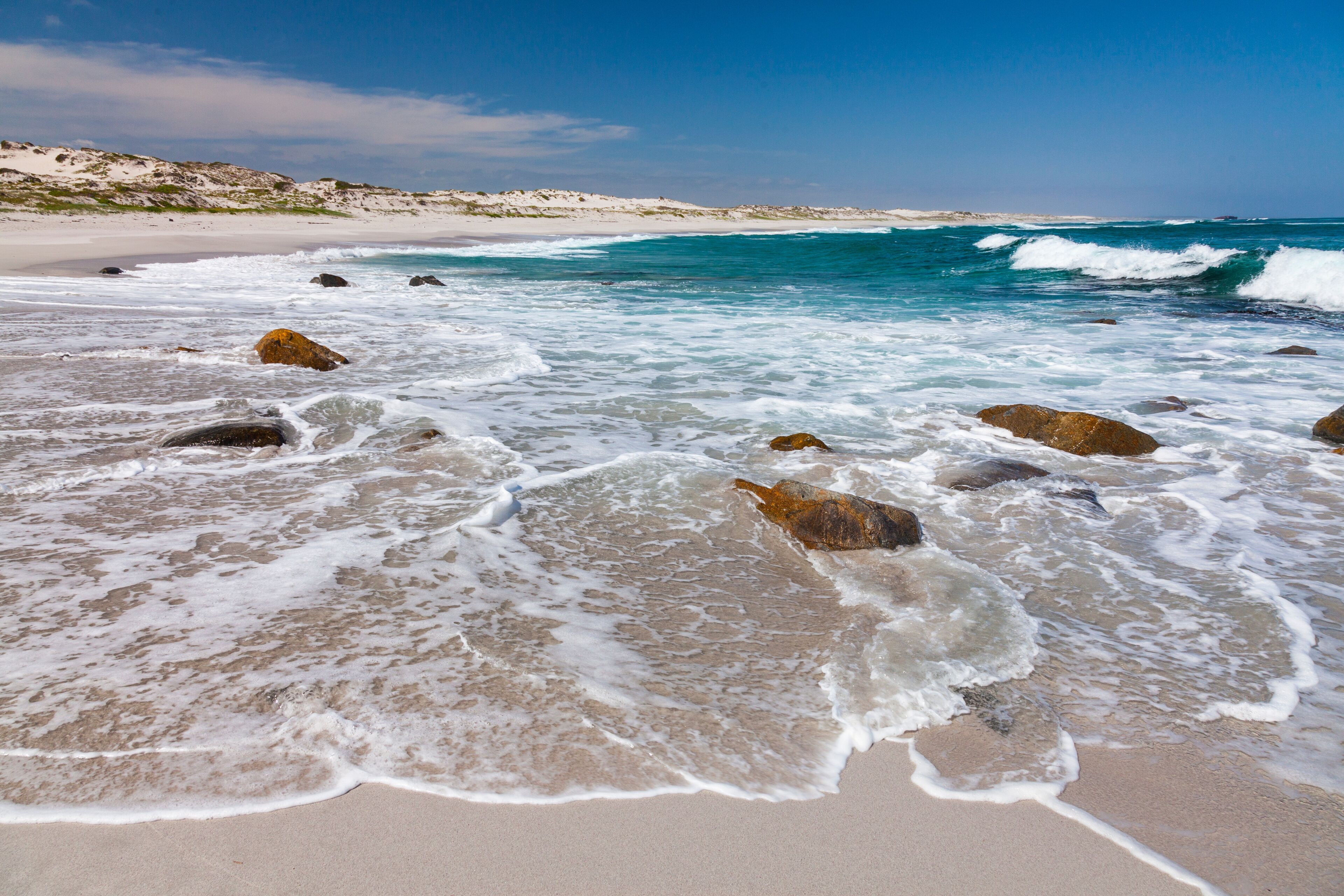 Postberg Trail, West Coast National Park, Western Cape province, South Africa, Africa