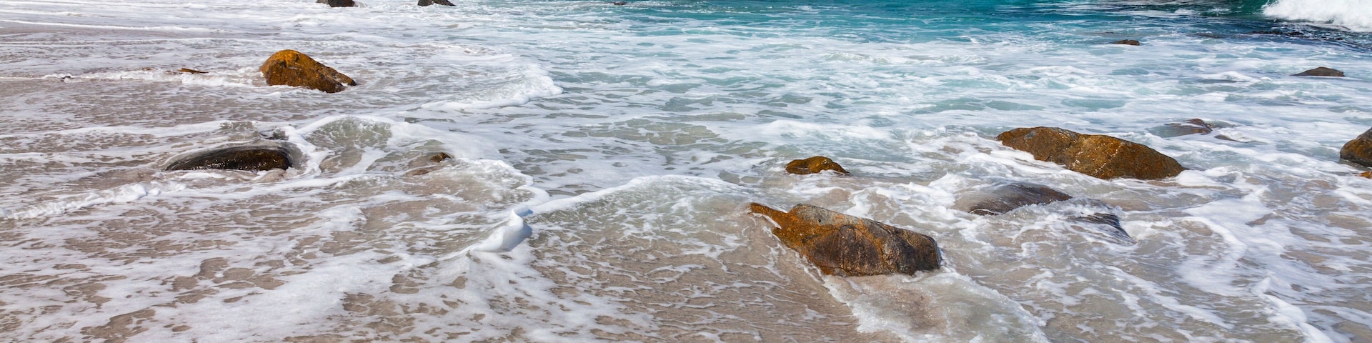 Postberg Trail, West Coast National Park, Western Cape province, South Africa, Africa