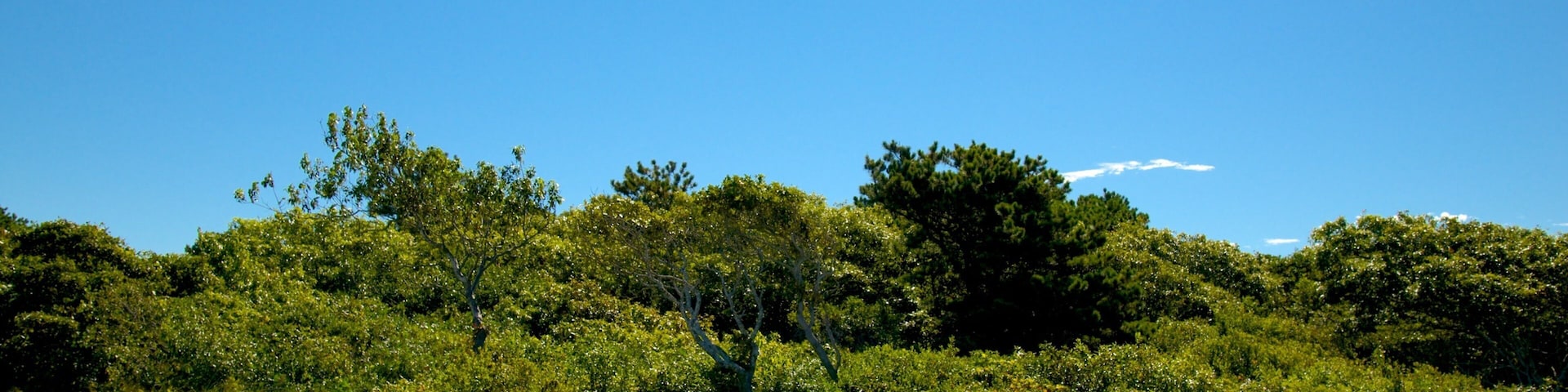 南角海滩州立公园