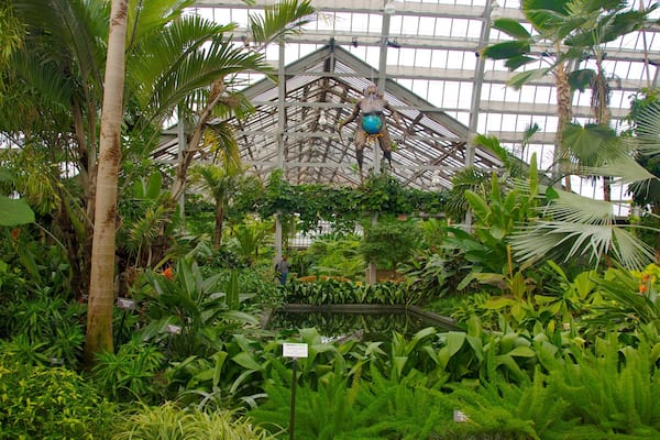 Vibrant tropical plants thrive inside Garfield Park Conservatory in Chicago, showcasing nature's beauty all year round