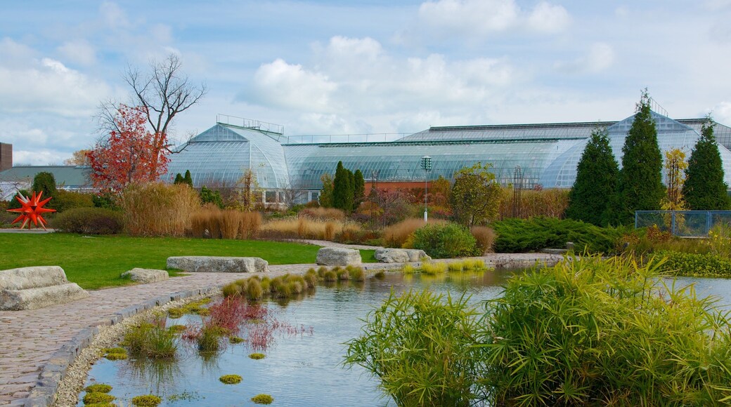 Garfield Park Conservatory showing a park